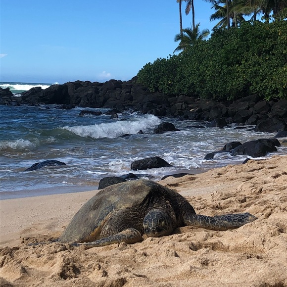 Welcome to my closet - Picture 1 of 1